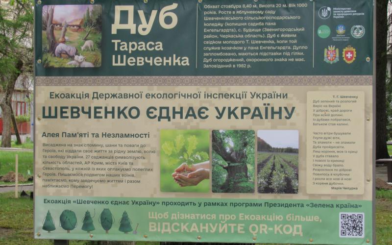 article-image