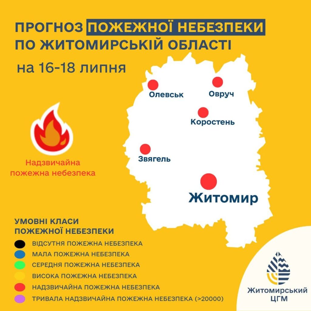 article-image