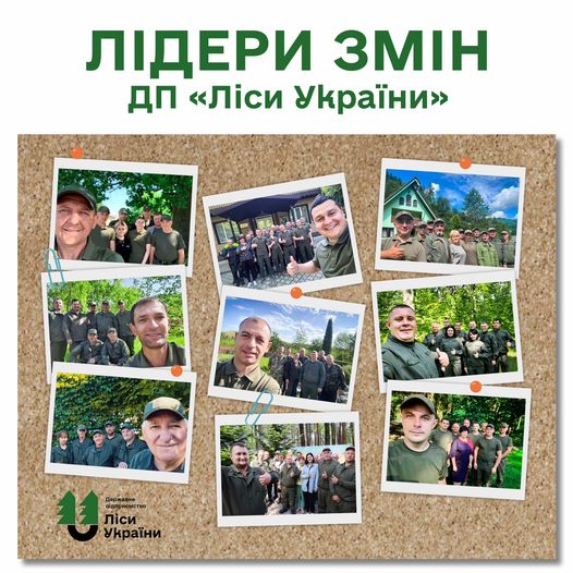 article-image