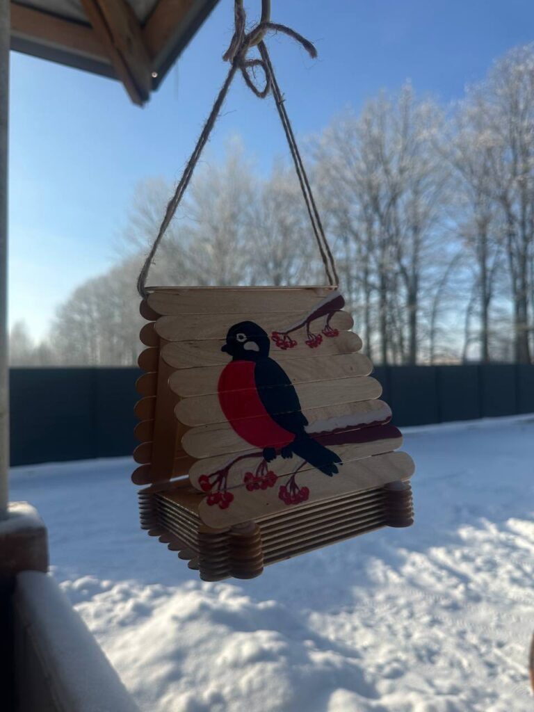 article-image