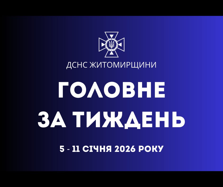 article-image