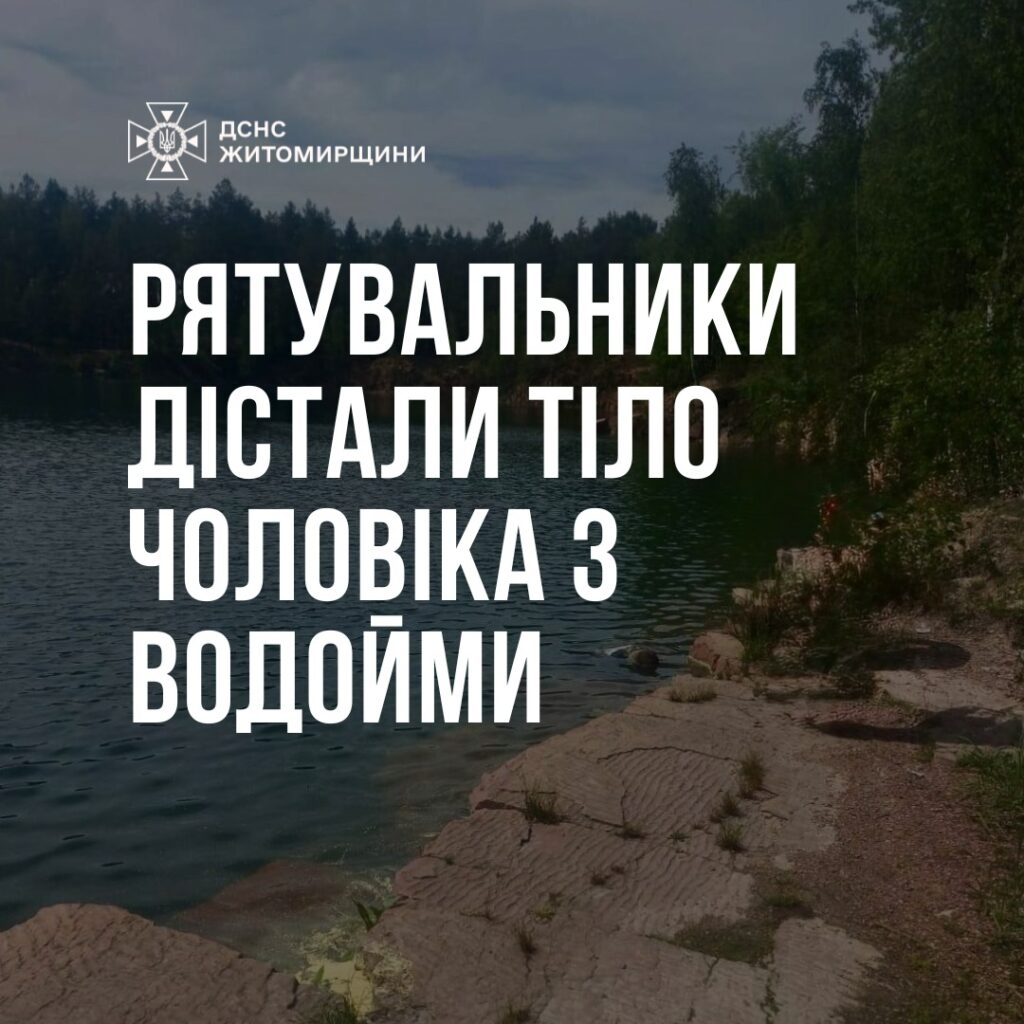 article-image