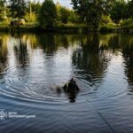 У Чоповичах потонув літній чоловік: кількість жертв на водоймах Житомирщини зросла до 15
