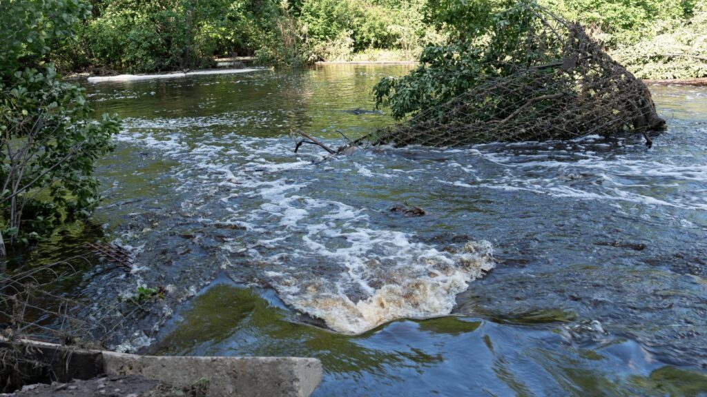 В Ушомирській громаді через прорив греблі затопило будинки: воду відкачали, дамбу починають ремонтувати