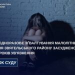 Зґвалтував малолітню у лісі: суд виніс вирок 24-річному жителю Звягельщини