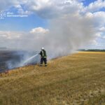 11 пожеж сухостою за добу: на Житомирщині вогонь випалив понад 6 гектарів території