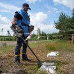 Перевірили вже понад 14 тисяч квадратних метрів: піротехніки ДСНС очищують Коростенщину від вибухівки