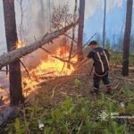 Масштабна лісова пожежа на Житомирщині: у Коростенському районі палає 5 гектарів лісу