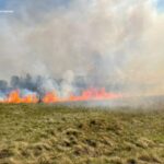 За минулу добу рятувальники Житомирщини ліквідували чотири пожежі сухої трави