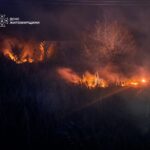 За добу на Житомирщині ліквідували 11 пожеж сухостою на площі майже 10 га