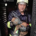Удар блискавки підпалив приватний будинок на Житомирщині