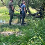 Екологічна катастрофа у Житомирі: у річці Кам’янка масово загинула риба після скиду стічних вод