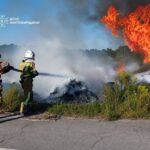 Випалено понад 13 гектарів: на Житомирщині за добу зафіксували 20 пожеж сухої трави