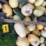 Два удари сокирою по голові: в Олевську жінка врятувала вітчима від розправи з боку співмешканця