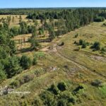 У лісі на Житомирщині після трьох днів пошуків знайшли зниклу 53-річну жінку