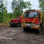 Боролися з вогнем 13 днів: пожежу в заповіднику на Житомирщині повністю ліквідовано