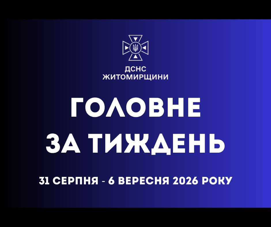 article-image