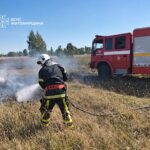 На Житомирщині за добу вигоріло понад 6 гектарів сухостою: ДСНС залучала додаткові сили