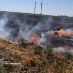 Вісім виїздів на гасіння трави: у Коростенському, Звягельському та Бердичівському районах ліквідовували пожежі