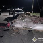У Звягельському районі мотоцикліст врізався у віз: троє людей опинилися в лікарні